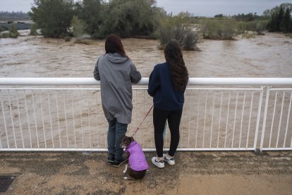 Varias personas observan la crecida del río Magre, a 29 de octubre de 2024, en Alfarp,