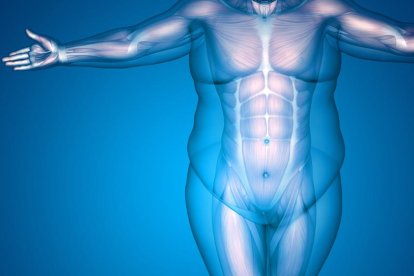 Te damos las claves para conseguir un saludable equilibrio hormonal.