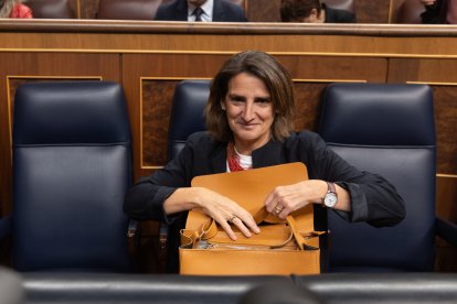 La vicepresidenta tercera y ministra para la Transición Ecológica, Teresa Ribera, durante una sesión de control al Gobierno, a 20 de noviembre de 2024, en Madrid (España). Ribera protagoniza la sesión con dos preguntas de la oposición y una comparecencia para explicar la gestión de su ministerio durante la DANA que ha asolado numerosos puntos de nuestro país y que ha dejado más de 220 fallecidos.

Eduardo Parra / Europa Press
20 NOVIEMBRE 2024;DANA;TERESA RIBERA;SEISÓN DE CONTROL;COMPARECENCIA
20/11/2024