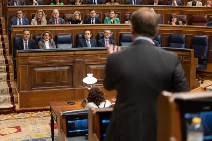 El presidente del PP, Alberto Núñez Feijóo, interviene durante una sesión de control al Gobierno.