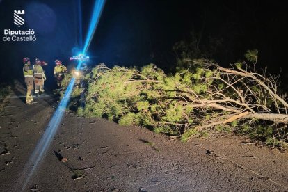 El Consorcio de Bomberos realizó