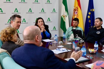 La consejera de la Junta de Andalucía, Loles López, con los representantes de asociaciones de enfermos de ELA: