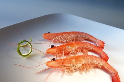 Gamba natural