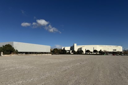 San Vicente del Raspeig retira 4.500 toneladas de escombro para habilitar un aparcamiento junto al nuevo pabellón y la Facultad de Educación

REMITIDA / HANDOUT por AYUNTAMIENTO
Fotografía remitida a medios de comunicación exclusivamente para ilustrar la noticia a la que hace referencia la imagen, y citando la procedencia de la imagen en la firma
14/1/2025