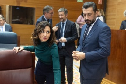 La presidenta de la Comunidad de Madrid, Isabel Díaz Ayuso, y el portavoz del PP en la Asamblea de Madrid, Carlos Díaz-Pache, durante un pleno en la Asamblea de Madrid.