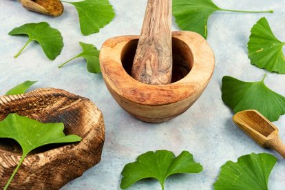 Extracto de ginkgo biloba vegano VROODY
