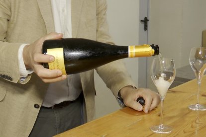 (Foto de ARCHIVO)
Cava de Requena y Almendralejo dan un paso "gigante" al entrar en el Consejo Regulador de la DO Cava

EUROPA PRESS
15/7/2022