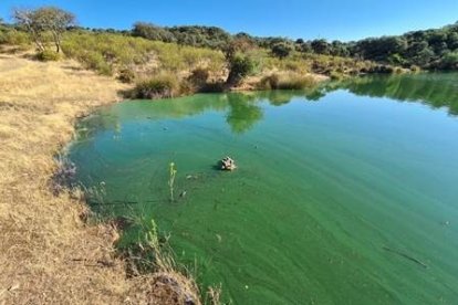 Embalse del Parque Nacional de Monfragüe, en Cáceres, el 11 de marzo de 2025.