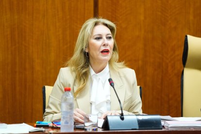 La consejera andaluza de Economía, Hacienda y Fondos Europeos, Carolina España, comparece en comisión parlamentaria.

REMITIDA / HANDOUT por JOAQUÍN CORCHERO/PARLAMENTO DE ANDALUCÍA
Fotografía remitida a medios de comunicación exclusivamente para ilustrar la noticia a la que hace referencia la imagen, y citando la procedencia de la imagen en la firma
13/3/2025