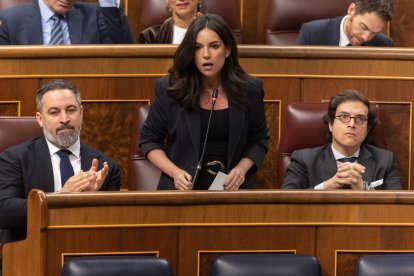 Archivo - La portavoz de VOX en el Congreso, Pepa Millán, interviene durante una sesión de control, Congreso de los Diputados, a 12 de febrero de 2025, en Madrid (España). 