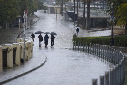 Varias se protegen de la lluvia con un paraguas. A 03 de marzo de 2025, en Sevilla (Andalucía, España). Un total de seis provincias estarán bajo aviso por fenómenos meteorológicos este lunes en Andalucía. Lo más destacado es el riesgo de nivel naranja por.