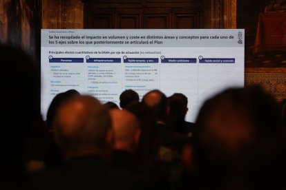 Asistentes al plan de recuperación por los afectados por la Dana implementado por la Generalitat.