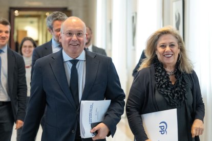 El portavoz parlamentario del PP, Miguel Tellado.