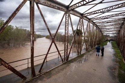(Foto de ARCHIVO)
El río Jarama a su paso por Mejorada del Campo, en el Puente de Hierro, a 22 de marzo de 2025, en Mejorada del Campo, Madrid (España). 48 personas han sido evacuadas de manera preventiva tras la crecida de los ríos Jarama y Henares en Mejorada del Campo.

Diego Radamés / Europa Press
22 MARZO 2025;RÍO;CRECIDA;LLUVIAS;PRECIPITACIONES
22/3/2025