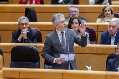 El ministro del Interior, Fernando Grande-Marlaska.