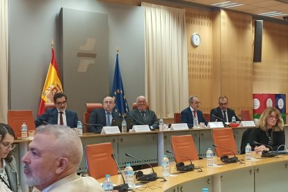 El director general de Tráfico (DGT), Pere Navarro.