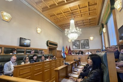 Pleno extraordinario del Ayuntamiento de Santiago.