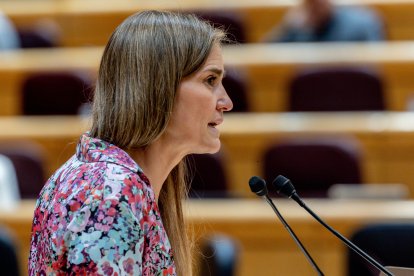 La vicepresidenta del Gobierno y ministra para la Transición Ecológica y el Reto Demográfico, Sara Aagesen, interviene durante una sesión de control al Gobierno en el Senado.