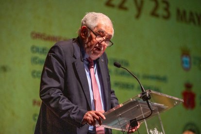 El Magistrado del Tribunal Constitucional, Cándido Conde Pumpido