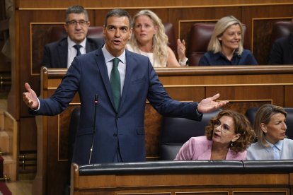 El presidente del Gobierno, Pedro Sánchez,en la sesión de control al Gobierno, en el Congreso de los Diputados.