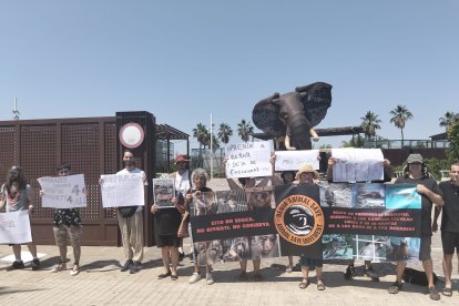 Animalistas protestan junto al Bioparc de Valencia