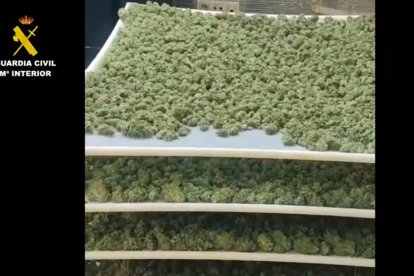 Detenidas nueve personas por tráfico de drogas y pertenencia a grupo criminal en Yuncler (Toledo).