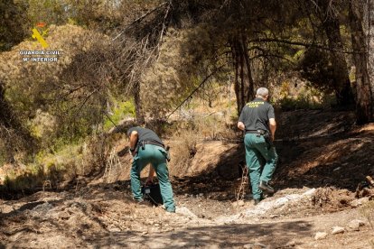Guardia Civil