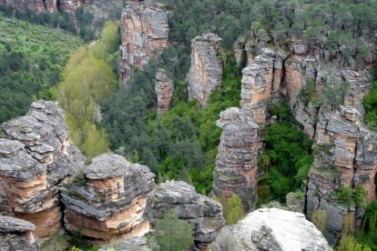 Parque natural del Alto Tajo