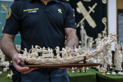 Un agente de la Guardia Civil muestra una de las mayores incautaciones de piezas de marfil de España