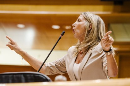 La portavoz del PP en el Senado, Alicia García, durante una sesión de control al Gobierno en el Senado.