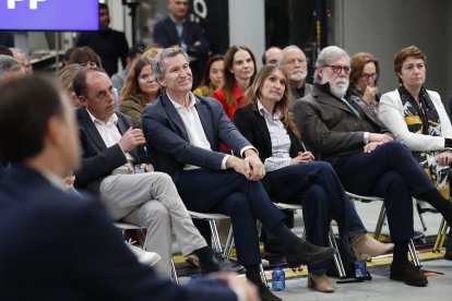 El presidente del PP, Alberto Núñez Feijóo