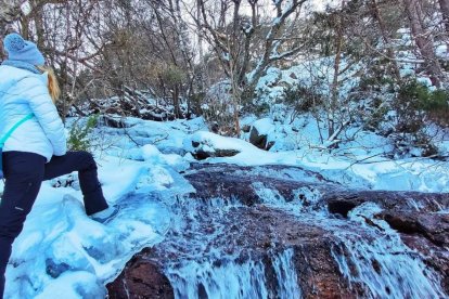 La Chorrera de Mojonavalle también se transforma en invierno: una estampa helada que merece la caminata.