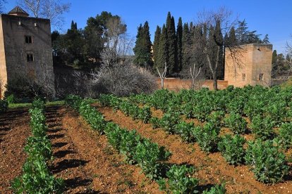 Huertas del Generalife

REMITIDA / HANDOUT por PATRONATO DE LA ALHAMBRA
Fotografía remitida a medios de comunicación exclusivamente para ilustrar la noticia a la que hace referencia la imagen, y citando la procedencia de la imagen en la firma
23/3/2018