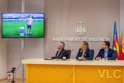 Presentación del proyecto