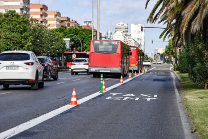 Carril EMT-Taxi exclusivo en Pío XII
