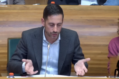 El portavoz del PSPV-PSOE en la Diputación, Carlos Fernández Bielsa.