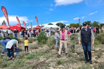 Reforestación de Alicante Renace