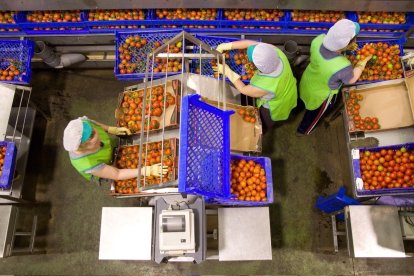 Trabajadoras en Almería, Andalucía.