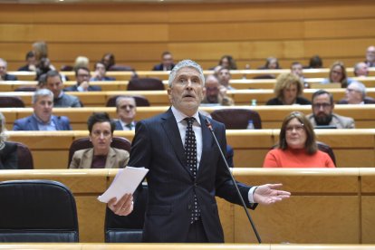 El ministro del Interior, Fernando Grande-Marlaska, interviene durante una sesión de control al Gobierno en el Senado.
