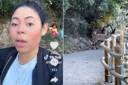 La influencer y el rebaño de cabras. La vida puede ser dura