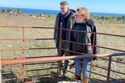 La alcaldesa de Xabia, Rosa Cardona, observa algunas de las cabras en la Plana del Montgó.