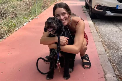 Boro, el perro desaparecido en el descarrilamiento del tren Iryo en Adamuz.