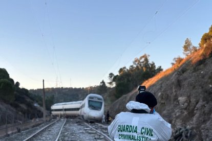 Agente de Criminalística de la Guardia Civil en la zona del accidente ferroviario en Adamuz (Córdoba)

REMITIDA / HANDOUT por GUARDIA CIVIL
Fotografía remitida a medios de comunicación exclusivamente para ilustrar la noticia a la que hace referencia la imagen, y citando la procedencia de la imagen en la firma
19/1/2026