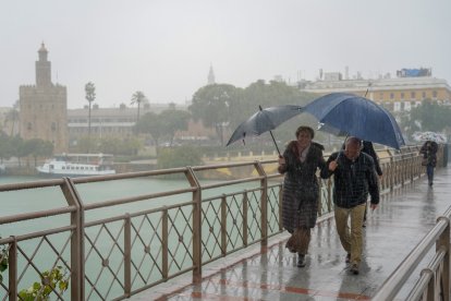 Peatones bajo la lluvia en Sevilla.

Eduardo Briones / Europa Press
23 noviembre 2019
22/11/2019