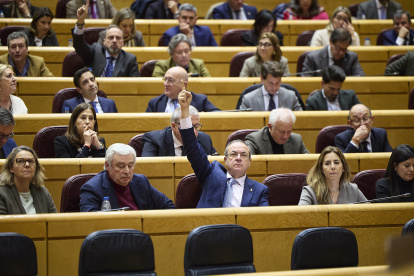 Senadores votando durante una sesión plenaria, en el Senado, en Madrid (España).