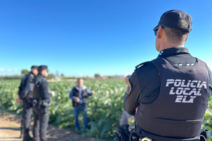 Vigilancia en el Camp d'Elx en plena campaña de la alcachofa.

REMITIDA / HANDOUT por AYUNTAMIENTO DE ELCHE
Fotografía remitida a medios de comunicación exclusivamente para ilustrar la noticia a la que hace referencia la imagen, y citando la procedencia de la imagen en la firma
06/2/2026