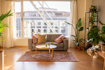Un salón bañado por luz natural donde las plantas y los textiles cálidos crean un ambiente equilibrado y acogedor, ideal para aplicar principios de armonización del espacio