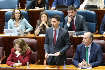El ya exconsejero de Educación, Ciencia y Universidades, Emilio Viciana, interviene durante una sesión plenaria en la Asamblea de Madrid.