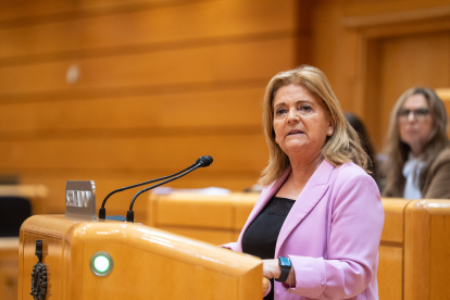 María Jesús Bonilla, senadora deel PP
