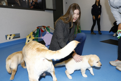 La Infanta Sofía, en los Once del Perro Guía (FOPG), este enero.